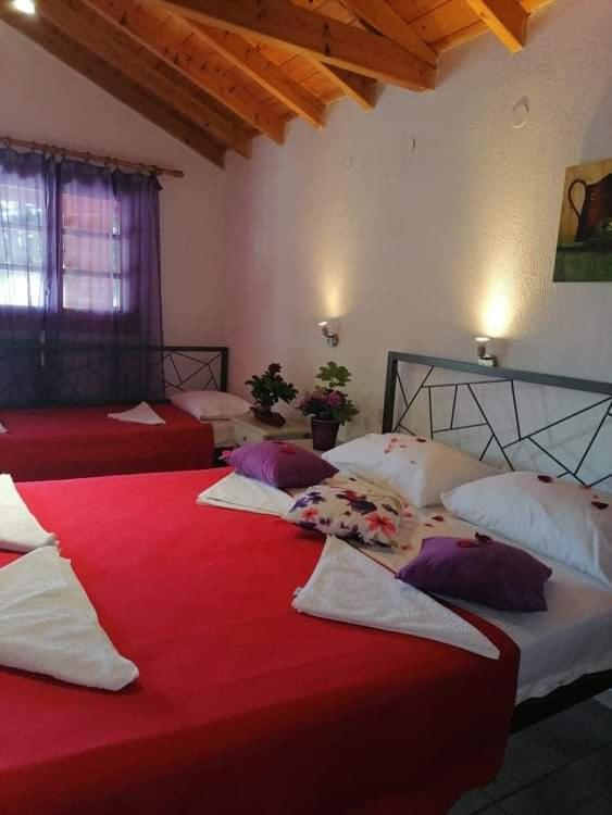 Elsa Hotel Скиатос Номер фото